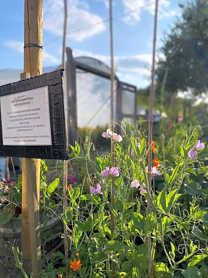 The Talbot at Knightwick