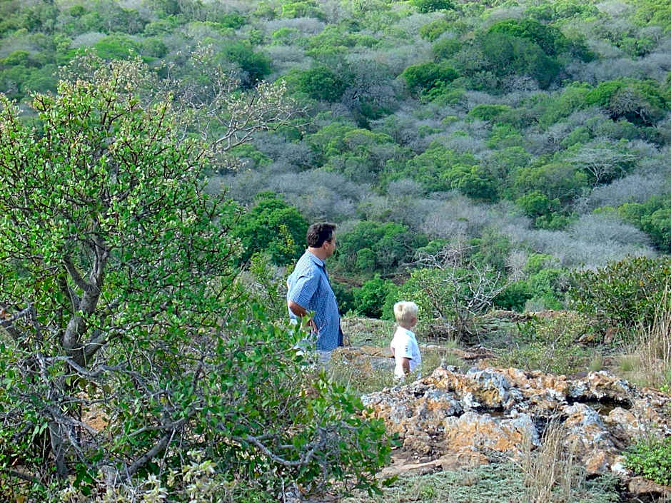 Aloe View Rock Lodge