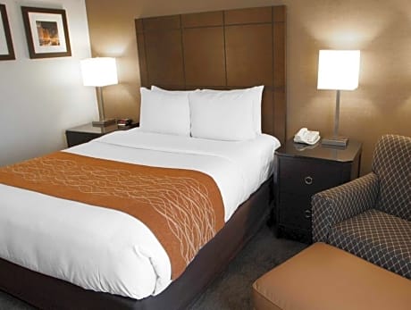 Queen Bed Non Smoking