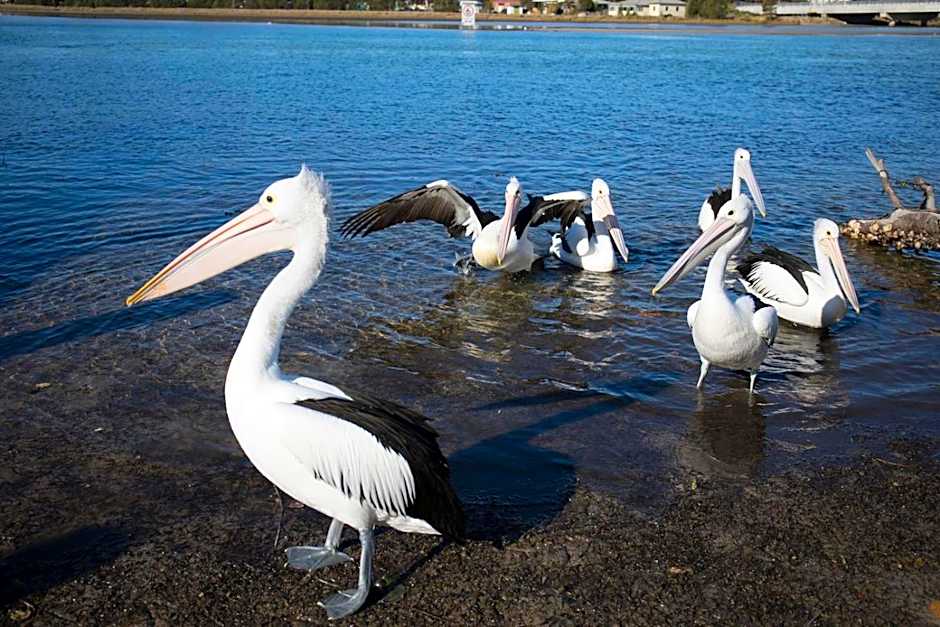 Lake Edge Apartments