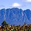 Glencoe Country Bed and Breakfast