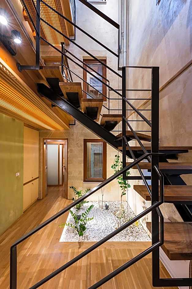 Polixeny's Suites