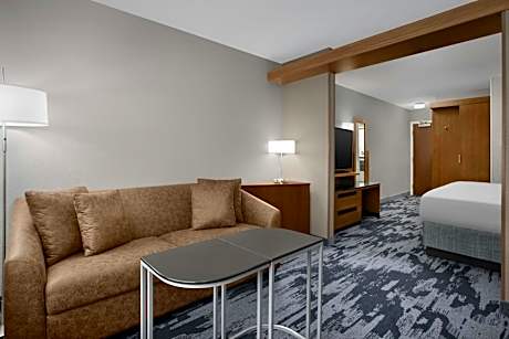 King Suite with Bathtub and Sofa Bed - Mobility Access/Hearing Accessible