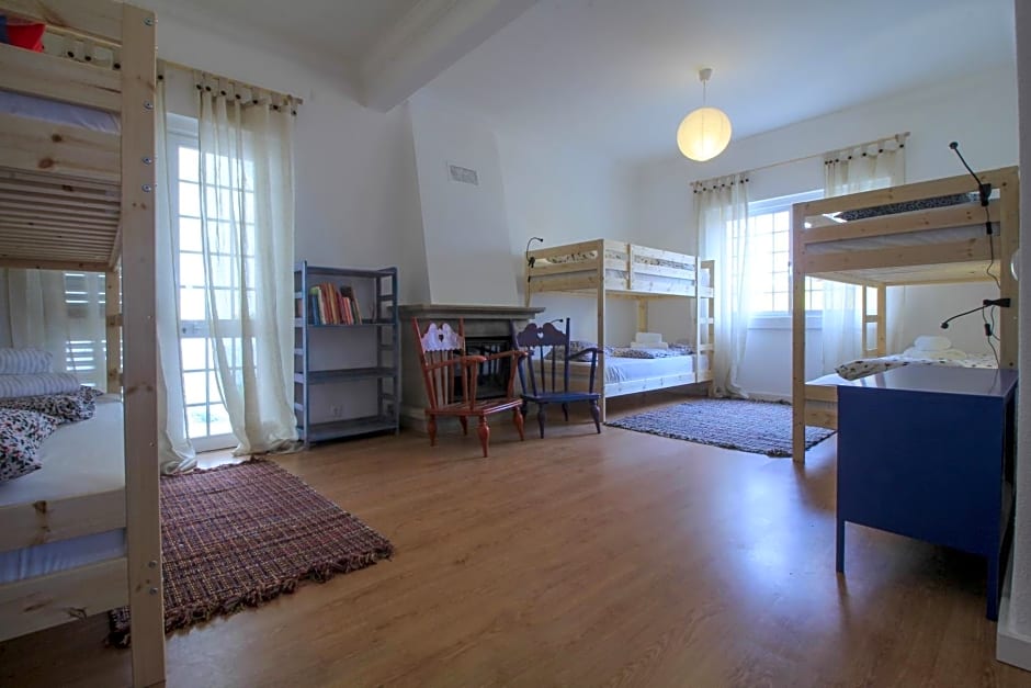 Mr Ziggy's Surfhouse