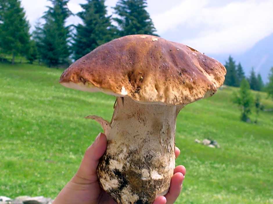 Pizzo Del Frate