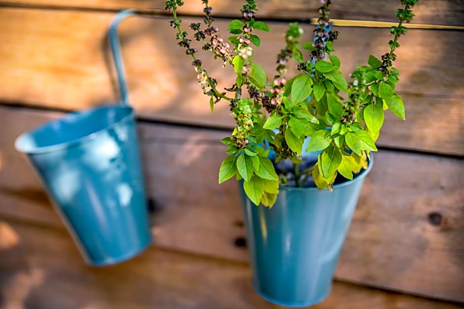 Alföldi Jurta Ruzsa