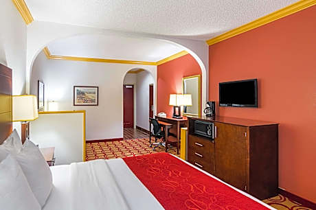 1 King Bed, Suite, Nonsmoking, Accessible