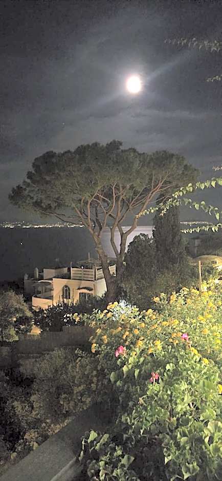 La Pergola del Torchio