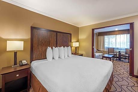 Executive King Suite with Sofa Bed - Non-Smoking