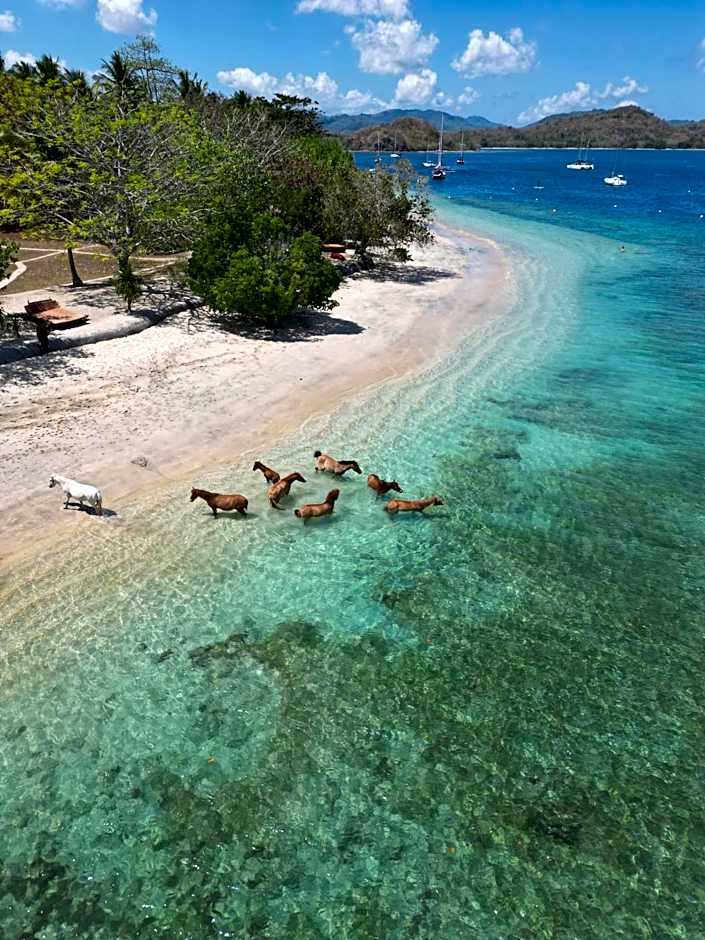 Gili Asahan Eco Lodge & Restaurant