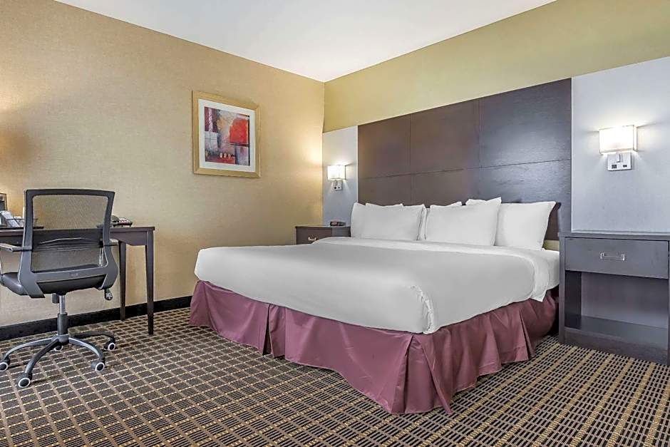 Quality Inn & Suites Windsor