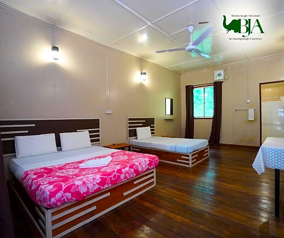 Borneo Jungle Adventure