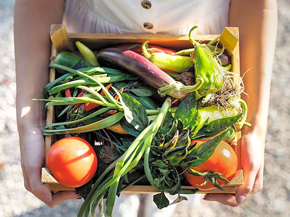 BreakFree Peninsula Surfers Paradise