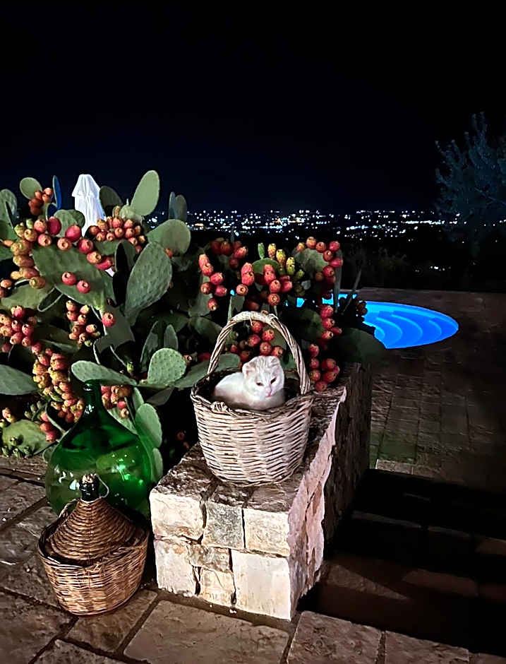 Dimora Le Ginestre Adults Only