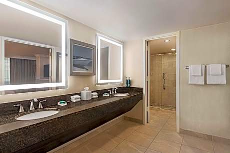 Presidential Suite With King Bdrm /1400 Sq Ft