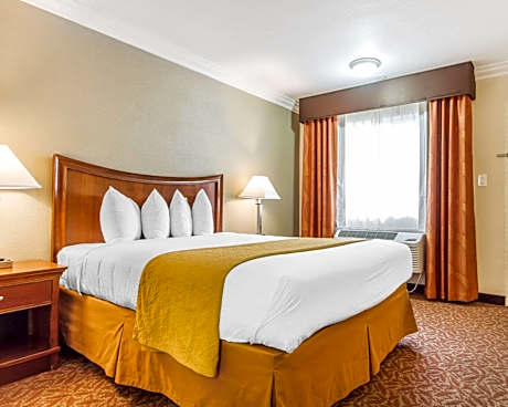 Queen Room - Accessible/Non-Smoking