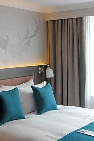 Hill Collection Deluxe