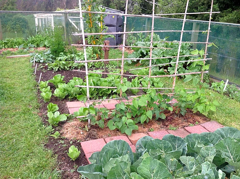 Rolling Hills Country Stay B&B