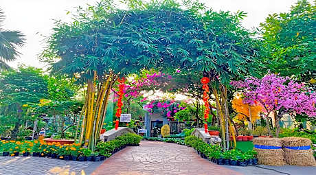 Thanh Dat Resort