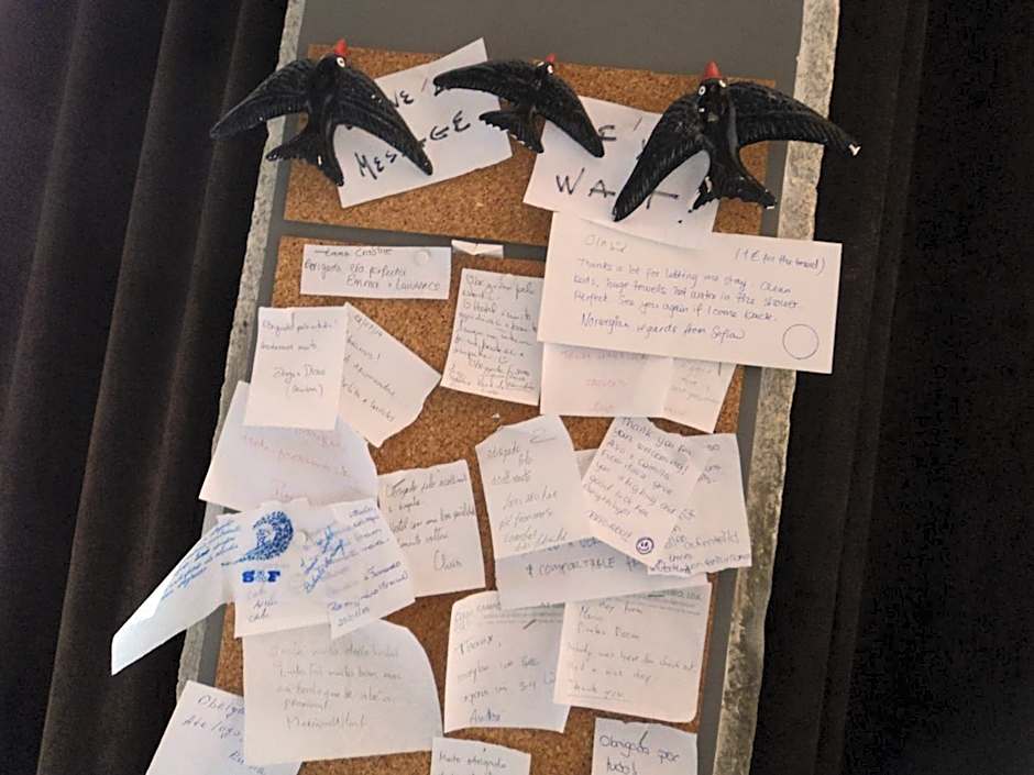 Sardines and Friends Hostel 04