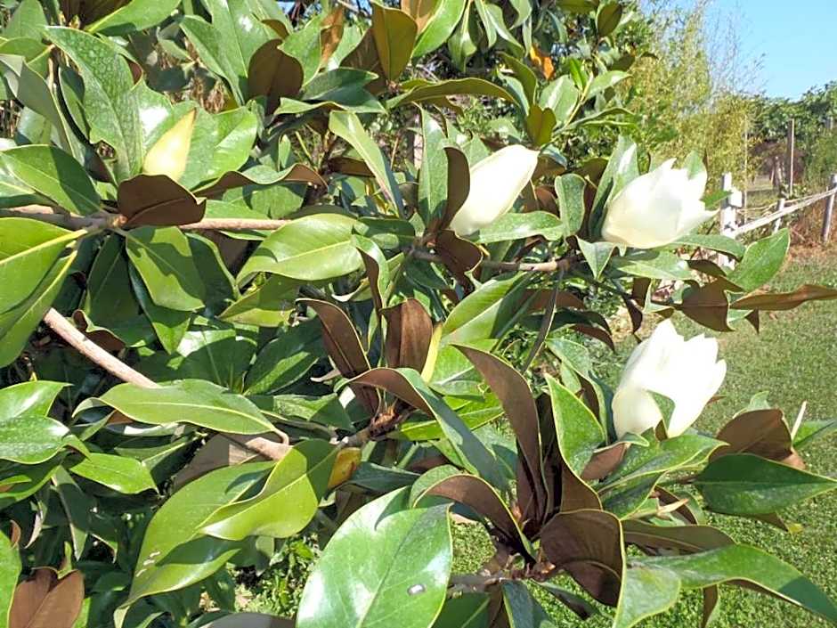 B&B Villa Sans Souci