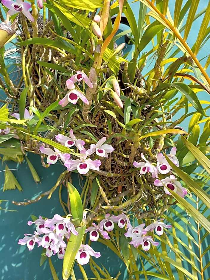 Posada Galeria Alberto Sedas