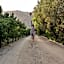 S'Arenada Hotel - Adults Only