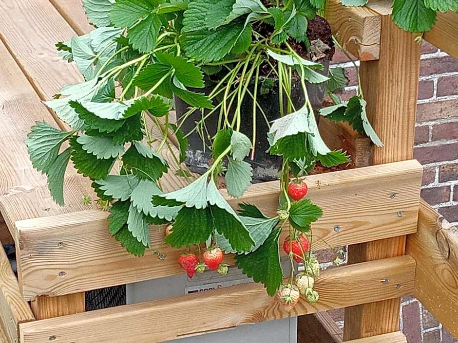 Bed & Breakfast Moments