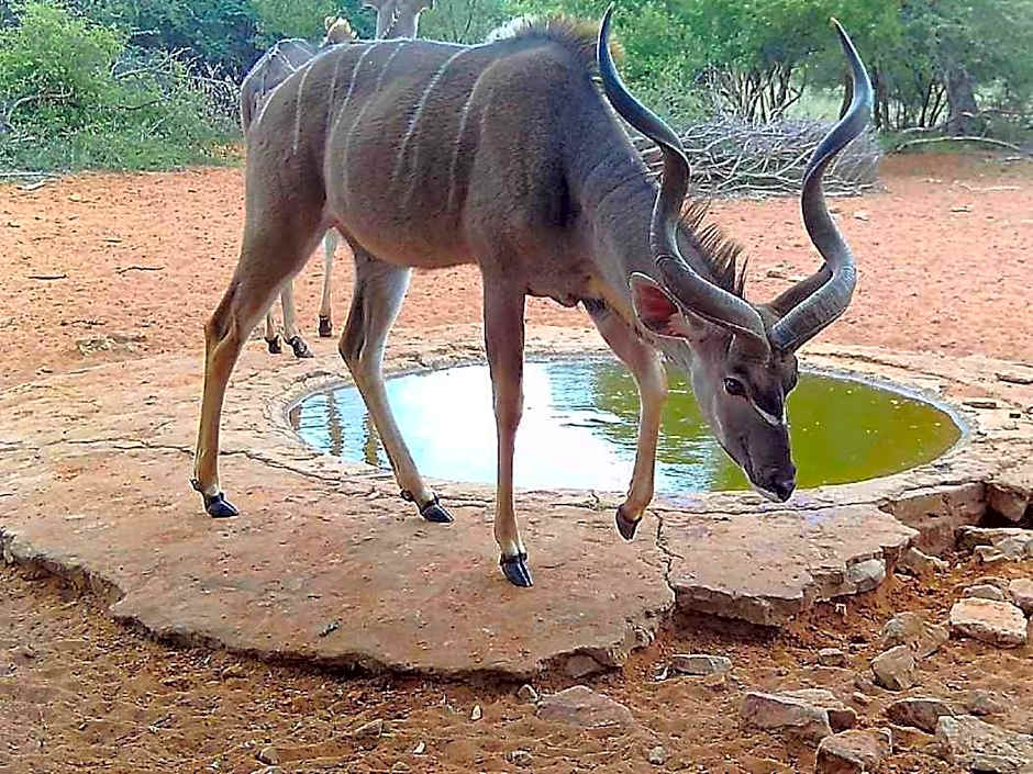 Gamagara Africa Private Nature Reserve