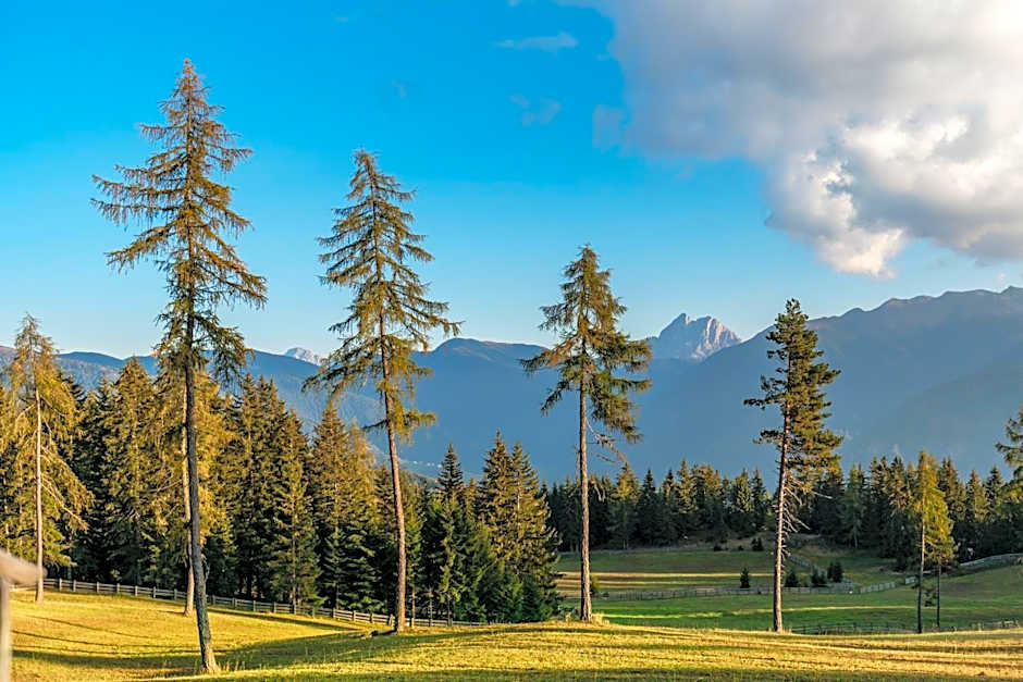Oberhauser Hütte Rodenecker - Lüsner Alm