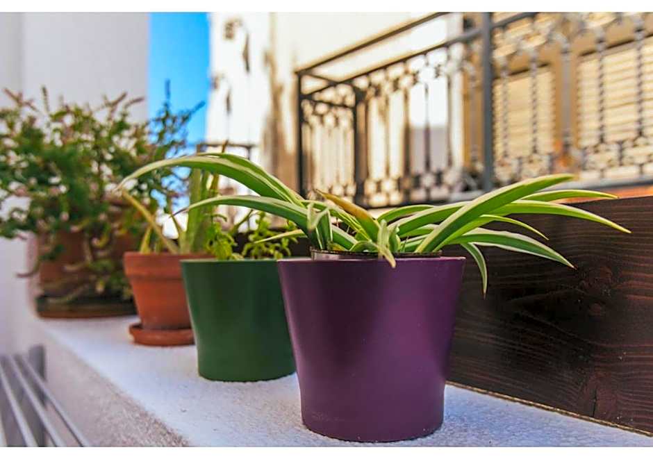 Arco Naxos Luxury Apartments