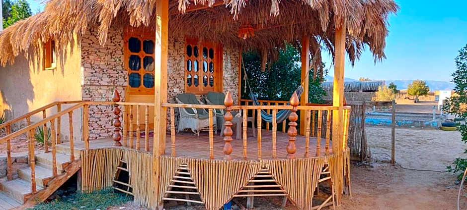 Green Beach Camp & Hotel