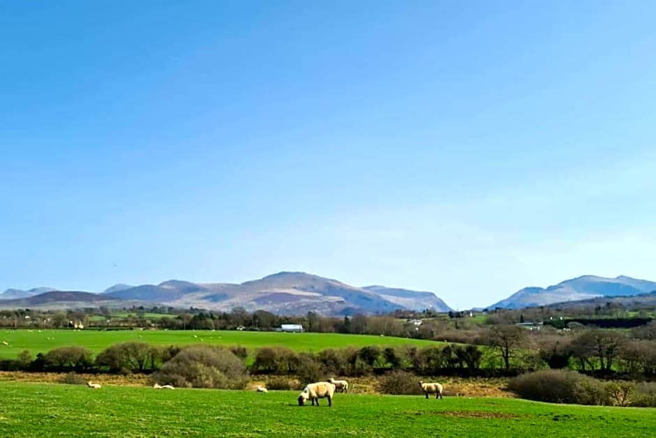 Woodland Shephards Hut - 'Aristocrat'