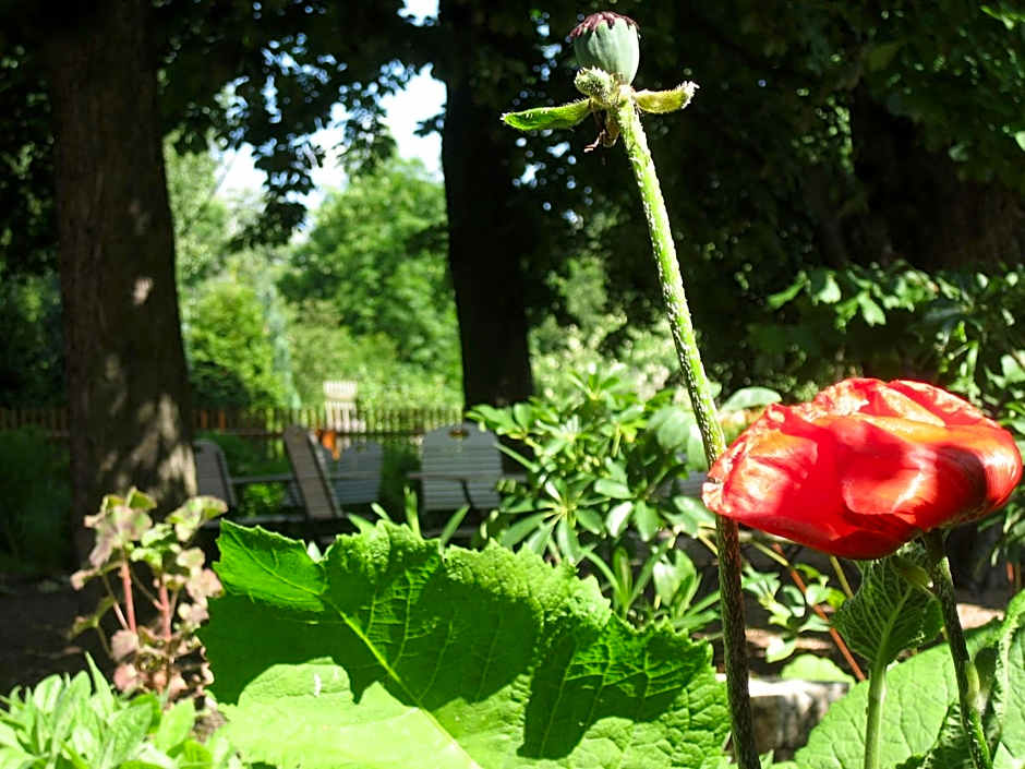 Bio Hotel Kipperquelle