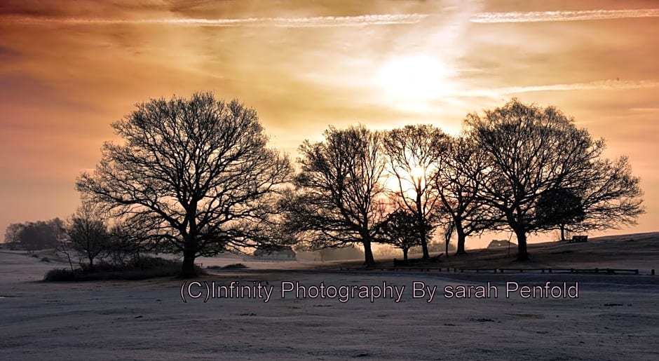 Rosedale Bed and Breakfast