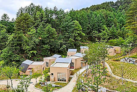 Geumgangsong ecorium