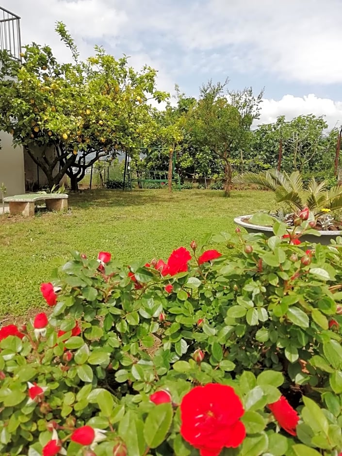 B&B Villa Le Mattine