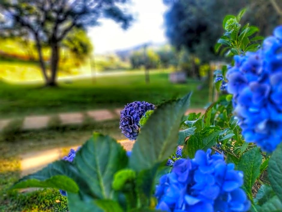 Pousada Sítio Vale das Olivas