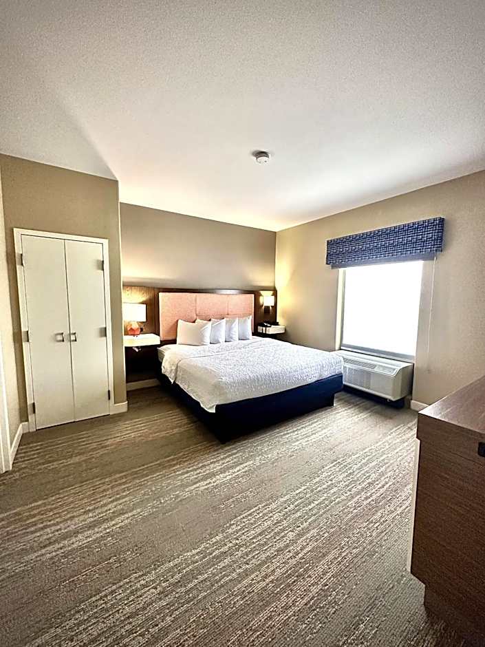 Hampton Inn By Hilton Baton Rouge - Denham Springs