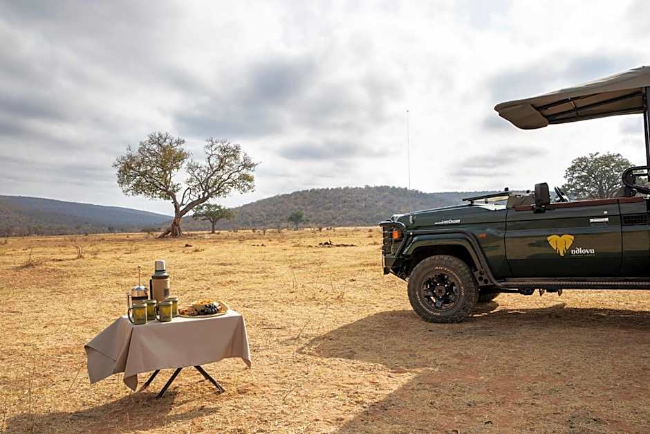 Ndlovu Safari Lodge
