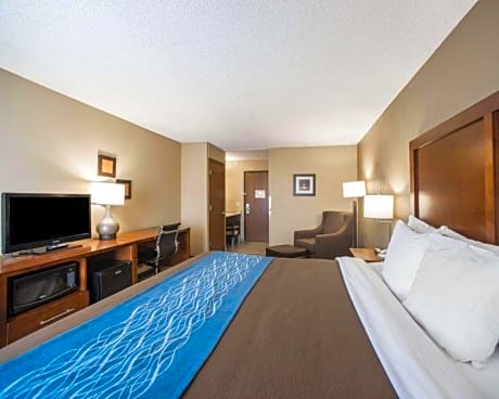 1 King Bed, Suite, Nonsmoking