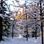 Hakuba Royal Suites