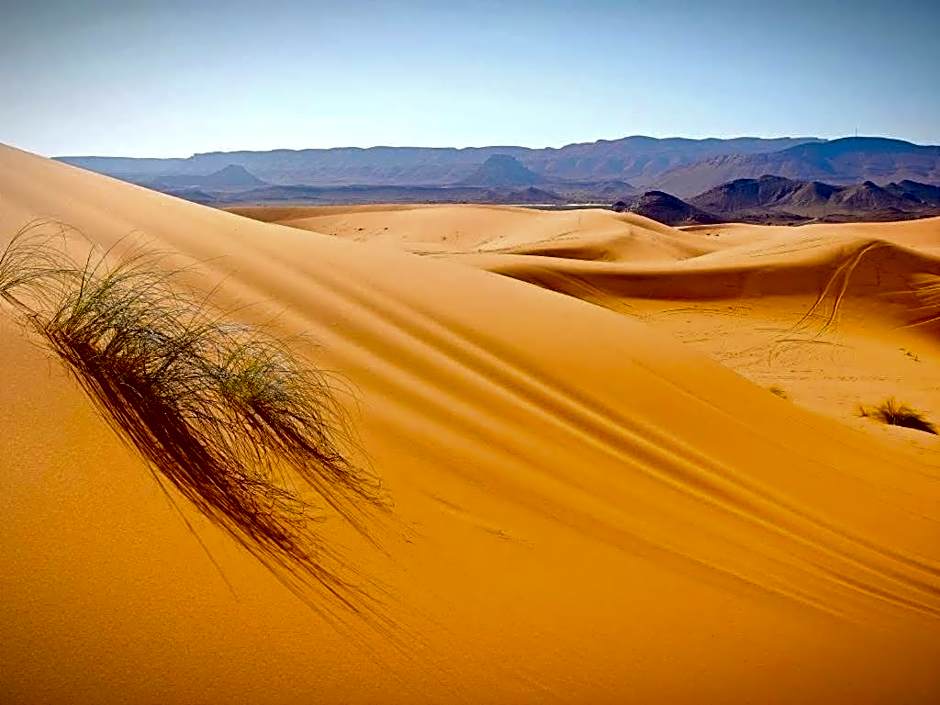 Porte De Sahara Ouzina