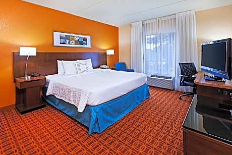 Suite, 1 King Bed with Sofa bed (Hearing Accessible) (1 King Bed and 1 Double Sofa Bed)