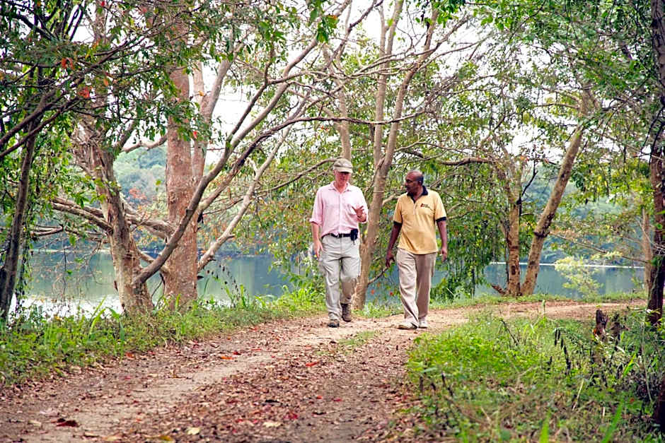 Explorer by Eco Team - Dambana