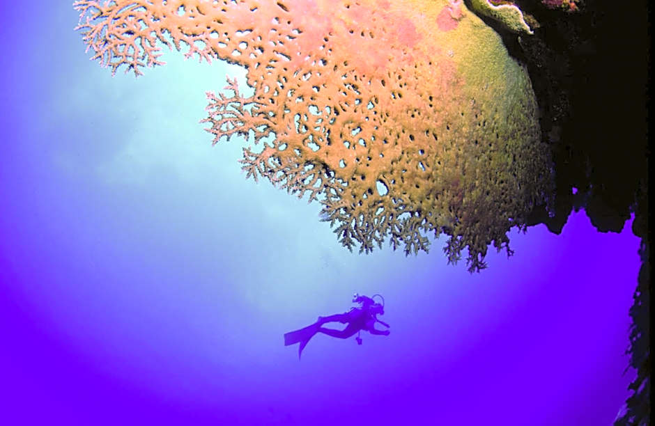 Chez Ronald Guest House