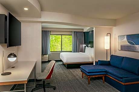 Studio with King Bed and Sofa Bed