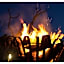 Thali Thali Game Lodge