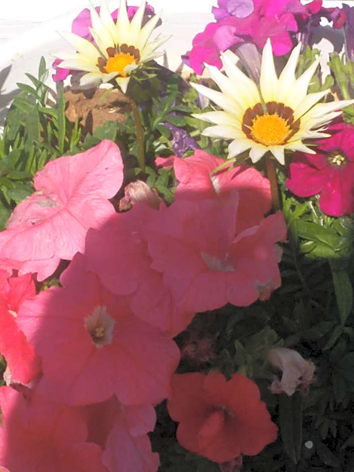 Flokkas Hotel Apartments