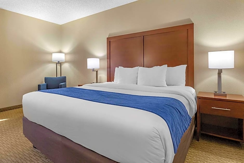 Comfort Inn Near Greenfield Village